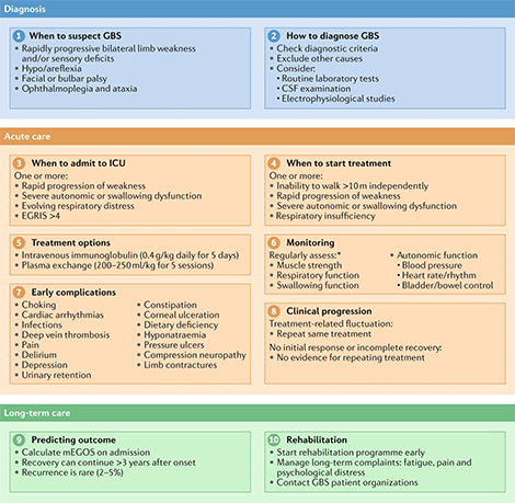 10-step approach for the diagnosis and management of Guillain–Barré syndrome